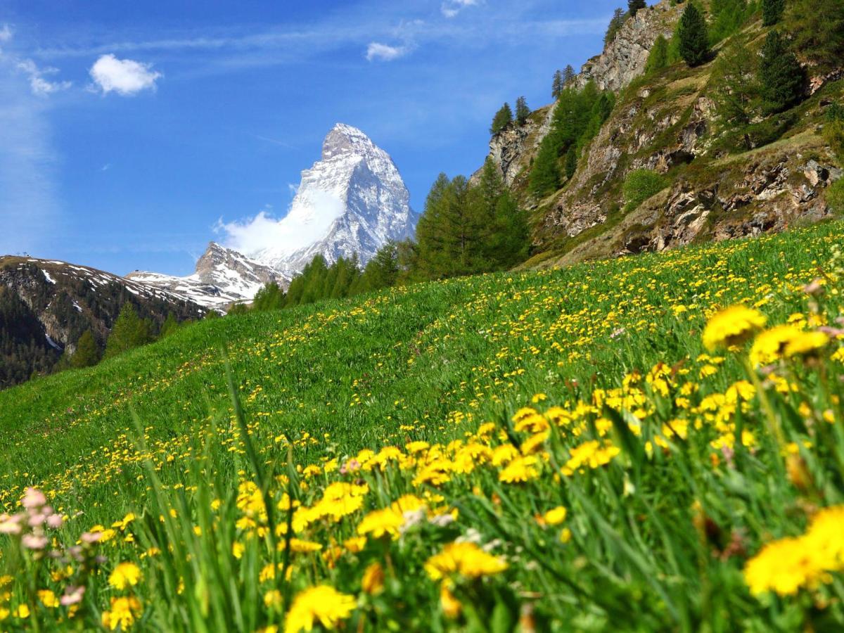Apartment Armina By Interhome Zermatt Exterior foto